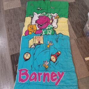 Colorful Barney Sleeping Bag